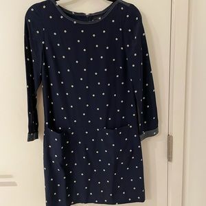 Jcrew Silk Polka Dot Dress